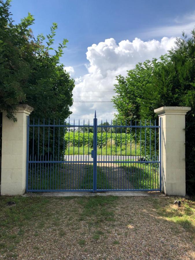 Chambres d hôtes avec Piscine et Spa La Folière Saumur Villebernier Exterior foto