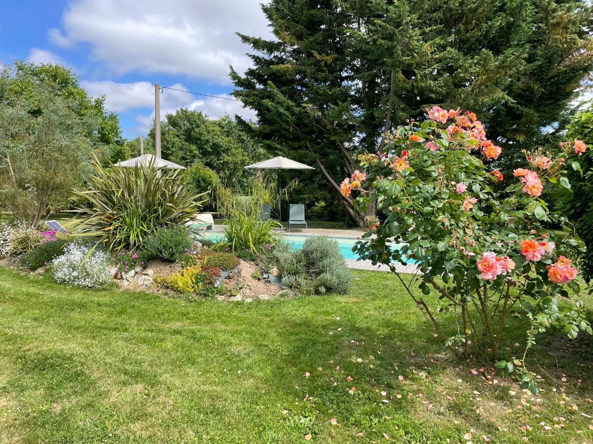 Chambres d hôtes avec Piscine et Spa La Folière Saumur Villebernier Exterior foto